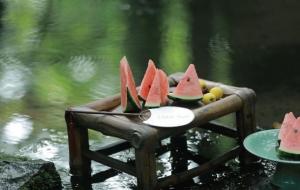 绿肥红瘦的红瘦指的是什么花