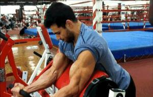 一头肌是什么梗（一头肌事件）