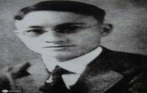 《再别康桥》赏析 表达了作者怎样的思想感情