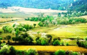 葫芦丝之乡是哪里(葫芦丝艺术的发祥地)