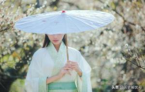 乌台诗案故事梗概(乌台诗案是怎么回事)