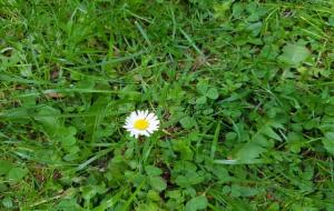 人心不足蛇吞象 下一句怎么说