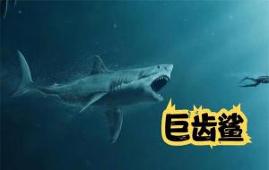 巨齿鲨灭绝了吗