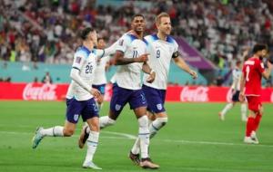 胜其他是什么意思