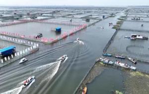 阳澄湖在哪里哪个省的(阳澄湖大闸蟹开捕)