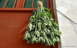 端午节门上插几根艾草