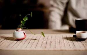 人走茶凉是什么意思(人走茶凉是自然规律)