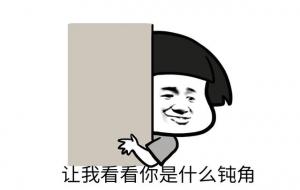 钝角是什么梗(网络用语的意思)