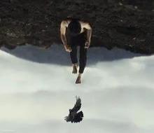 20个残忍的人类真相(残忍现实的生活真相)