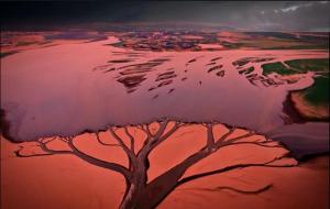 鄱阳湖哪个省 面积(鄱阳湖干枯原因)