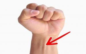 掌长肌有什么用(掌长肌腱每个人都有吗)