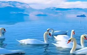 失之东隅，收之桑榆是什么意思