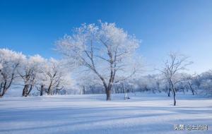 立冬的意义(立冬是什么意思)