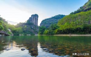 岩茶属于什么茶