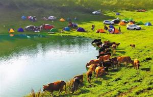 四大火炉城市排名(四大火炉之首)