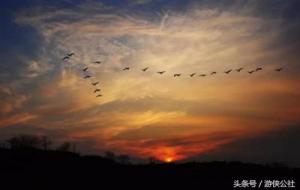 “海日生残夜,江春入旧年” 赏析 所蕴含的哲理