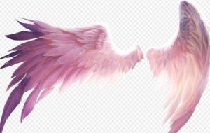 十二星座专属翅膀是什么样的