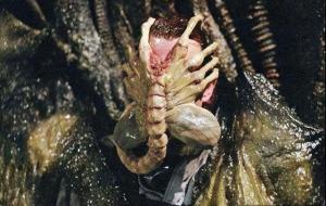 抱脸虫是什么 像什么（真的存在吗）