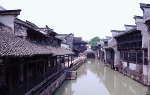 乌镇适合几月份去( 乌镇旅游景色)