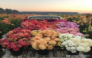 一如既往的优美句子(励志短句)