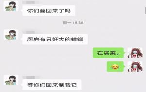 白额高脚蛛咬人吗(益虫有毒吗)