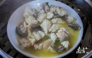 龙趸鱼属于什么鱼(龙趸鱼多少钱一斤)