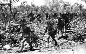 野人山为什么会死那么多人