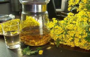 花蚊子的克星(8种驱蚊的植物)