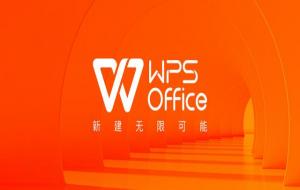 为什么老师说尽量别用WPS（WPS不好用吗）
