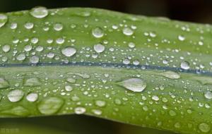 痰是怎么产生出来的