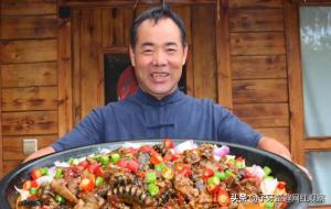 乡村食叔（临时小工逆袭为百万网红）