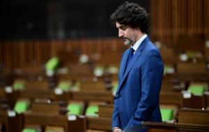 盎格鲁撒克逊灭绝计划是指什么