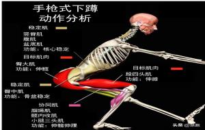 叶问蹲蹲不下去是怎么回事(动作有风险,注意这几点)