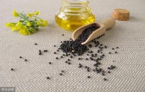 低芥酸是什么意思(低芥酸是好还是不好)