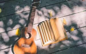 得之我幸，失之我命是什么意思