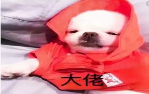 表达尴尬的幽默句子，深深刺痛了你的内心