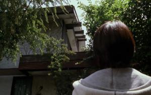 伽椰子电影全名是什么(伽椰子是什么鬼)