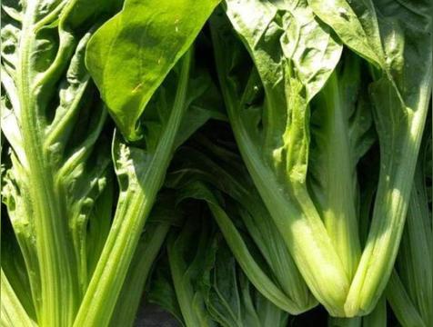 芒种节气吃什么食物