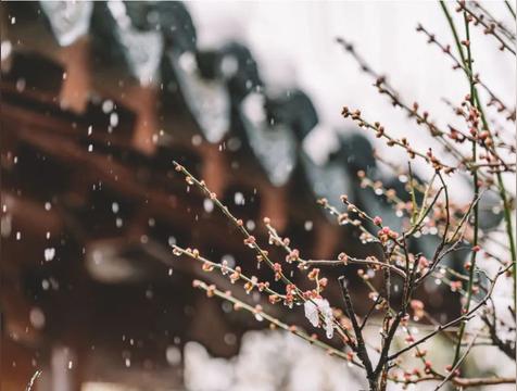 数九从哪一天开始到哪一天结束