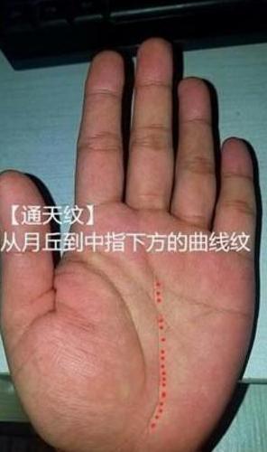 通天纹女人的命运