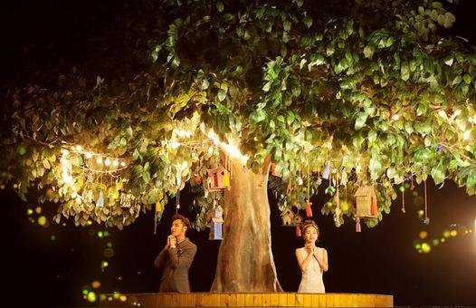 许愿树的寓意和象征