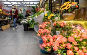 百合花为什么不能送人