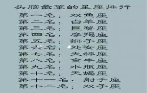 脑子最笨的3个星座排行