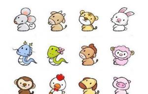 十二生肖相冲相克表