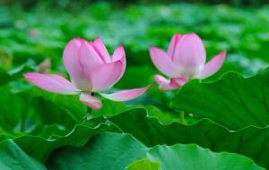 与陌生人聊天说话的技巧