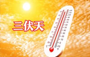 入伏吃什么有讲究吗