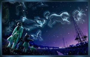 狗都不谈的星座是什么星座