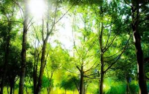 雨后惬意的心情