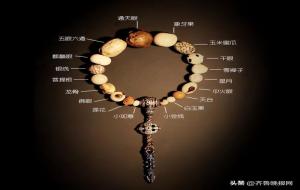 十八籽适合什么人佩戴