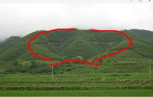 羊刃在八字里什么意思